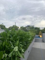 Harbour View Gardens (D5), Apartment #467677971
